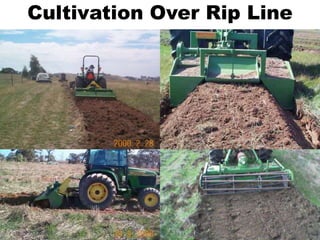 Cultivation Over Rip Line
 