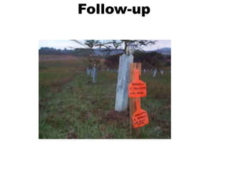 Follow-up
 