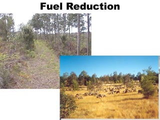 Fuel Reduction
 