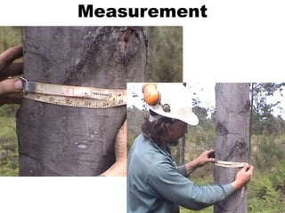 Measurement
 