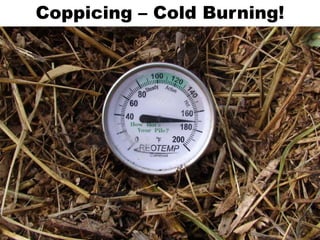 Coppicing – Cold Burning!
 