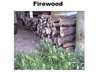Firewood
 