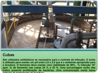Cubas
São utilizados antibióticos se necessário para o controle de infecção. O ácido
é utilizado para manter um pH entre 2,0 e 2,5 que é o ambiente apropriado para
a levedura. O fermento deve manter uma viabilidade de 90%, % infecção 107
ppm ,% de fermento nas cubas 25 % a 35 %. Uma porcentagem muito alta
indica possível proliferação de bactérias. Uma concentração muito baixa
 