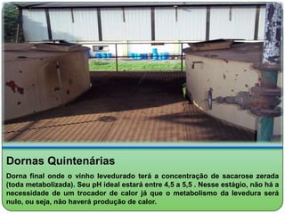 Dornas Quintenárias
Dorna final onde o vinho levedurado terá a concentração de sacarose zerada
(toda metabolizada). Seu pH ideal estará entre 4,5 a 5,5 . Nesse estágio, não há a
necessidade de um trocador de calor já que o metabolismo da levedura será
nulo, ou seja, não haverá produção de calor.
 