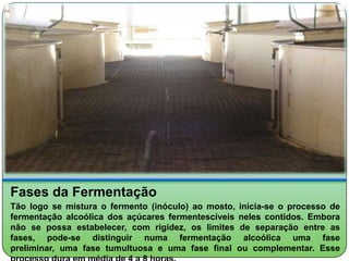 Fases da Fermentação
Tão logo se mistura o fermento (inóculo) ao mosto, inicia-se o processo de
fermentação alcoólica dos açúcares fermentescíveis neles contidos. Embora
não se possa estabelecer, com rigidez, os limites de separação entre as
fases, pode-se distinguir numa fermentação alcoólica uma fase
preliminar, uma fase tumultuosa e uma fase final ou complementar. Esse
 
