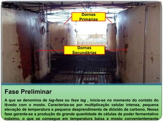 Dornas
                                      Primárias




                                     Dornas
                                   Secundárias




Fase Preliminar
A que se denomina de lag-fase ou fase lag , inicia-se no momento do contato do
lêvedo com o mosto. Caracteriza-se por multiplicação celular intensa, pequena
elevação de temperatura e pequeno desprendimento de dióxido de carbono. Nessa
fase garante-se a produção de grande quantidade de células de poder fermentativo
máximo, o que se consegue em temperatura baixa e mosto convenientemente
 