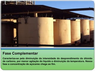 Fase Complementar
Caracteriza-se pela diminuição da intensidade do desprendimento do dióxido
de carbono, por menor agitação do líquido e diminuição da temperatura. Nessa
fase a concentração de açúcares chega ao fim.
 