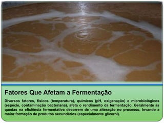 Fatores Que Afetam a Fermentação
Diversos fatores, físicos (temperatura), químicos (pH, oxigenação) e microbiológicos
(espécie, contaminação bacteriana), afeta o rendimento da fermentação. Geralmente as
quedas na eficiência fermentativa decorrem de uma alteração no processo, levando a
maior formação de produtos secundários (especialmente glicerol).
 
