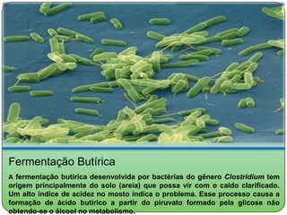 Fermentação Butírica
A fermentação butírica desenvolvida por bactérias do gênero Clostridium tem
origem principalmente do solo (areia) que possa vir com o caldo clarificado.
Um alto índice de acidez no mosto indica o problema. Esse processo causa a
formação de ácido butírico a partir do piruvato formado pela glicose não
obtendo-se o álcool no metabolismo.
 