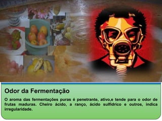 Odor da Fermentação
O aroma das fermentações puras é penetrante, ativo,e tende para o odor de
frutas maduras. Cheiro ácido, a ranço, ácido sulfídrico e outros, indica
irregularidade.
 