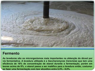 Fermento
As leveduras são os microrganismos mais importantes na obtenção do álcool por
via fermentativa. A levedura utilizada é a Saccharomyces Cerevisiae que tem uma
eficiência de 18% de concentração de etanol durante a fermentação, porém em
teores acima de 8%, o etanol passa a ser maléfico para a levedura então, costuma-
se fazer uma fermentação com teor alcoólico entre 6,5% - 8,0%.
 