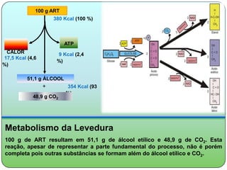 100 g ART
                     380 Kcal (100 %)



                          ATP
 CALOR                9 Kcal (2,4
17,5 Kcal (4,6
                      %)
%)

          51,1 g ÁLCOOL
                 +        354 Kcal (93
                          %)
            48,9 g CO2




 Metabolismo da Levedura
 100 g de ART resultam em 51,1 g de álcool etílico e 48,9 g de CO2. Esta
 reação, apesar de representar a parte fundamental do processo, não é porém
 completa pois outras substâncias se formam além do álcool etílico e CO2.
 