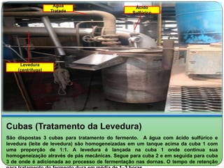 Água                         Ácido
                   Tratada                      Sulfúrico




     Levedura
    (centrífuga)




Cubas (Tratamento da Levedura)
São dispostas 3 cubas para tratamento do fermento. A água com ácido sulfúrico e
levedura (leite de levedura) são homogeneizadas em um tanque acima da cuba 1 com
uma proporção de 1:1. A levedura é lançada na cuba 1 onde continua sua
homogeneização através de pás mecânicas. Segue para cuba 2 e em seguida para cuba
3 de onde é adicionada ao processo de fermentação nas dornas. O tempo de retenção
 