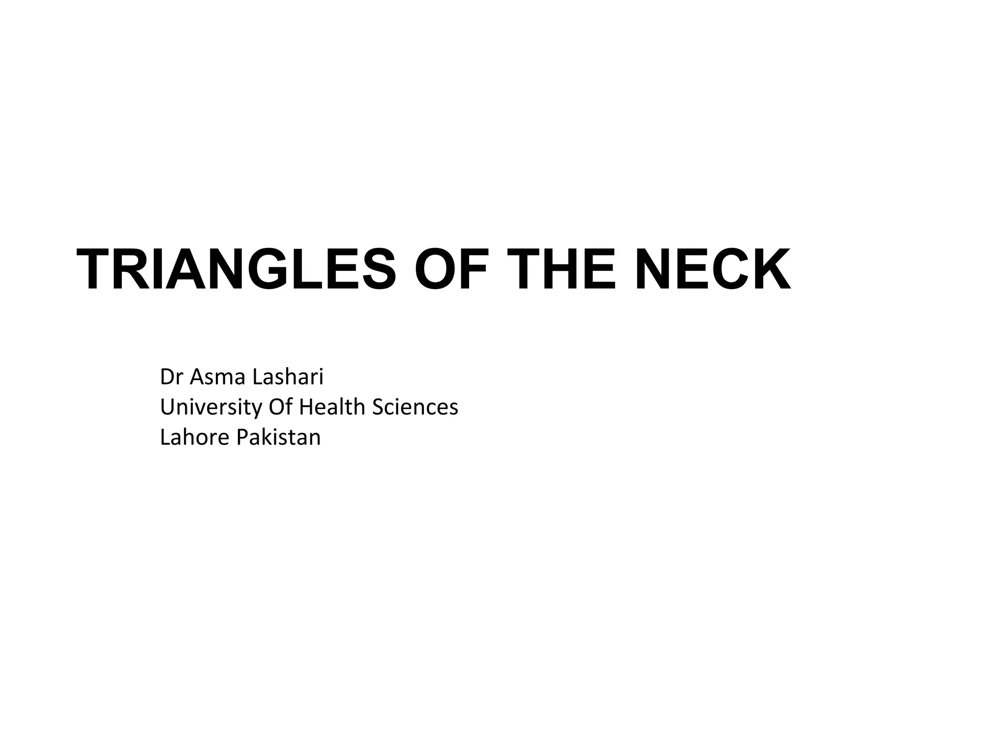 Triangles of Neck PPT