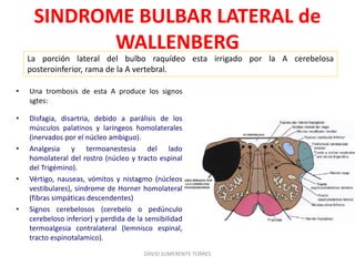 SINDROME BULBAR LATERAL de
WALLENBERG
• Una trombosis de esta A produce los signos
sgtes:
• Disfagia, disartria, debido a parálisis de los
músculos palatinos y laríngeos homolaterales
(inervados por el núcleo ambiguo).
• Analgesia y termoanestesia del lado
homolateral del rostro (núcleo y tracto espinal
del Trigémino).
• Vértigo, nauseas, vómitos y nistagmo (núcleos
vestibulares), síndrome de Horner homolateral
(fibras simpáticas descendentes)
• Signos cerebelosos (cerebelo o pedúnculo
cerebeloso inferior) y perdida de la sensibilidad
termoalgesia contralateral (lemnisco espinal,
tracto espinotalamico).
DAVID SUMERENTE TORRES
La porción lateral del bulbo raquídeo esta irrigado por la A cerebelosa
posteroinferior, rama de la A vertebral.
 