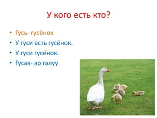У кого есть кто?
•   Гусь- гусёнок
•   У гуси есть гусёнок.
•   У гуси гусёнок.
•   Гусак- эр галуу
 