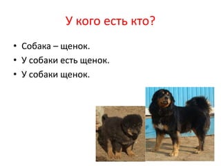 У кого есть кто?
• Собака – щенок.
• У собаки есть щенок.
• У собаки щенок.
 