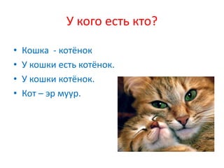 У кого есть кто?

•   Кошка - котёнок
•   У кошки есть котёнок.
•   У кошки котёнок.
•   Кот – эр муур.
 