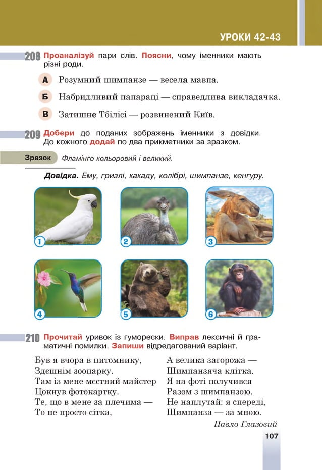 УРОКИ 42-43
20 8 Проаналізуй пари слів. Поясни, чому іменники мають
різні роди.
А Розумний шимпанзе — весела мавпа.
Б Набридливий папараці — справедлива викладачка.
В Затишне Тбілісі — розвинений Київ.
20 9 Добери до поданих зображень іменники з довідки.
До кожного додай по два прикметники за зразком.
Зразок Фламінго кольоровий і великий.
Д овідка. Ему, гризлі, какаду, колібрі, шимпанзе, кенгуру.
і
2 10 Прочитай уривок із гуморески. Виправ лексичні й гра­
матичні помилки. Запиш и відредагований варіант.
Був я вчора в питомнику,
Здєшнім зоопарку.
Там із мене мєстний майстер
Цокнув фотокартку.
Те, що в мене за плечима —
То не просто сітка,
А велика загорожа —
Шимпанзяча клітка.
Я на фоті получився
Разом з шимпанзою.
Не наплутай: я спереді,
Шимпанза — за мною.
Павло Глазовий
107
 