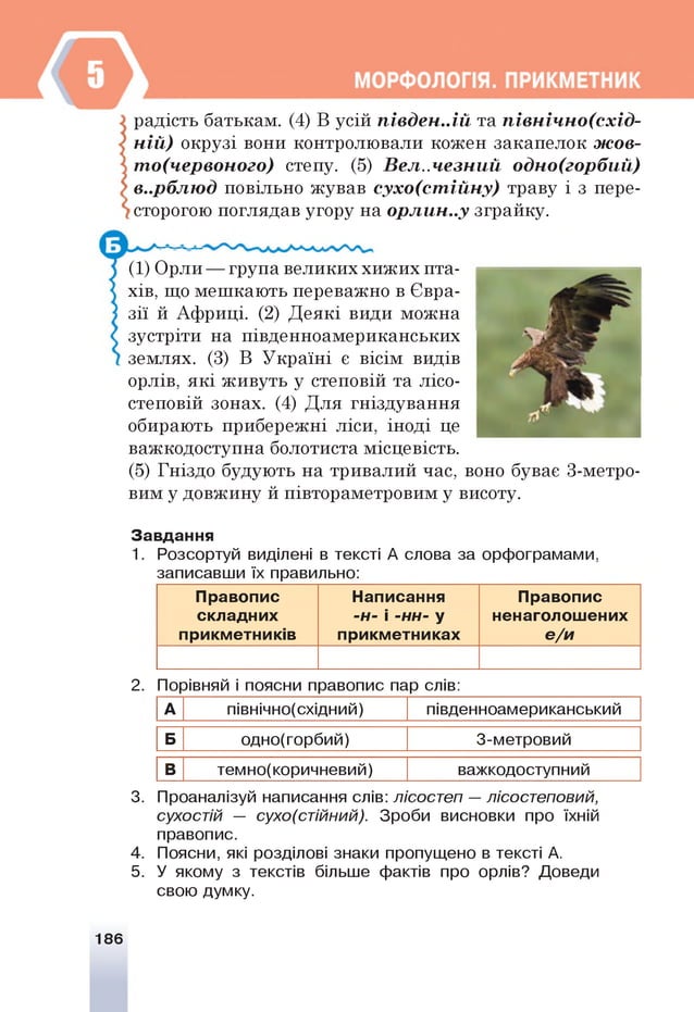 радість батькам. (4) В усій п ів д е н ..ій та п ів н іч н о (с х ід -
н ій ) окрузі вони контролювали кожен закапелок ж о в -
т о (че р во но го ) степу. (5) В е л ..ч е з н и й о д н о (го р б и й )
в..р б л ю д повільно жував с у х о (с т ій н у ) траву і з пере­
сторогою поглядав угору на о р л и н .у зграйку.
(1) Орли — група великих хижих пта­
хів, що мешкають переважно в Євра­
зії й Африці. (2) Деякі види можна
зустріти на південноамериканських
землях. (3) В Україні є вісім видів
орлів, які живуть у степовій та лісо­
степовій зонах. (4) Для гніздування
обирають прибережні ліси, іноді це
важкодоступна болотиста місцевість.
(5) Гніздо будують на тривалий час, воно буває 3-метро-
вим у довжину й півтораметровим у висоту.
Завдання
1. Розсортуй виділені в тексті А слова за орфограмами,
записавши їх правильно:
Правопис
складних
прикметників
Написання
-н- і -нн- у
прикметниках
Правопис
ненаголошених
е/и
2. Порівняй і поясни правопис пар слів:
А північно(східний) південноамериканський
Б одно(горбий) 3-метровий
В темно(коричневий) важкодоступний
3. Проаналізуй написання слів: лісостеп —лісостеповий,
сухостій — сухо(стійний). Зроби висновки про їхній
правопис.
4. Поясни, які розділові знаки пропущено в тексті А.
5. У якому з текстів більше фактів про орлів? Доведи
свою думку.
186
 