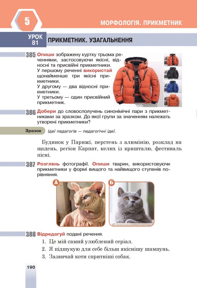 МОРФОЛОГІЯ. ПРИКМЕТНИК
УРО К
81
ПРИКМ ЕТНИК. УЗАГАЛЬНЕННЯ
38 5 Опиши зображену куртку трьома ре
ченнями, застосовуючи якісні, від­
носні та присвійні прикметники.
У першому реченні використай ,4
щонайменше три якісні при­
кметники.
У другому — два відносні при­
кметники.
У третьому — один присвійний
прикметник.
3 8 6 Добери до словосполучень синонімічні пари з прикмет­
никами за зразком. До якої групи за значенням належать
утворені прикметники?
Зразок Ідеї педагогів — педагогічні ідеї.
Будинок у Парижі, перстень з алюмінію, розклад на
щодень, регіон Карпат, келих із кришталю, фестиваль
пісні.
387 Розглянь фотографії. Опиши тварин, використовуючи
прикметники у формі вищого та найвищого ступенів по­
рівняння.
3 8 8 Відредагуй подані речення.
1. Це мій самий улюблений серіал.
2. Я підшукую для себе більш якіснішу шампунь.
3. Зазвичай коти спритніші собак.
190
 