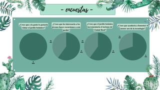 - encuestas -
Sí
100%
¿Crees que a la gente le gustaría
visitar el jardín botánico?
¿Crees que el jardín botánico
incrementaría el turismo de
Ciudad Real?
Sí
60%
No
40%
Sí
60%
No
40%
Sí
70%
No
30%
¿Crees que les interesaría a los
jóvenes hacer excursiones a este
jardín?
¿Crees que ayudaría a fomentar el
menor uso de la tecnología?