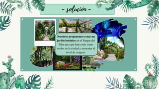 - solución -
Nosotros proponemos crear un
jardín botánico en el Parque del
Pilar para que haya más zonas
verdes en la ciudad y aumentar el
nivel de oxígeno.