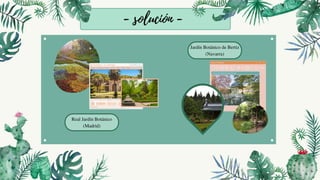 Real Jardín Botánico
(Madrid)
Jardín Botánico de Bertiz
(Navarra)
- solución -