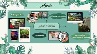 Jardín Botánico
- solución -