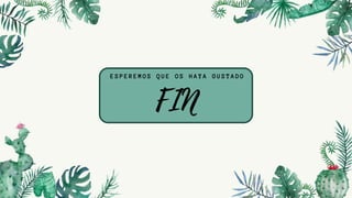 FIN
ESPEREMOS QUE OS HAYA GUSTADO