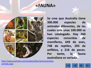 «FAUNA» 
Se cree que Australia tiene 
300.000 especies de 
animales diferentes, de las 
cuales solo unas 100.000 se 
han catalogado. Hay 260 
especies conocidas de 
mamíferos, 649 de aves, 
748 de reptiles, 205 de 
anfibios, y 216 de peces. 
Por tanto, la fauna 
australiana es variada. 
http://www.australia.com/es/about/key-facts/australias-animals. 
aspx 
 