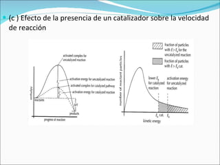 (c ) Efecto de la presencia de un catalizador sobre la velocidad de reacción 