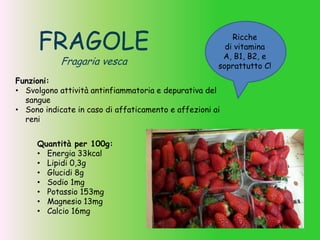 FRAGOLE
Fragaria vesca
Quantità per 100g:
• Energia 33kcal
• Lipidi 0,3g
• Glucidi 8g
• Sodio 1mg
• Potassio 153mg
• Magnesio 13mg
• Calcio 16mg
Ricche
di vitamina
A, B1, B2, e
soprattutto C!
Funzioni:
• Svolgono attività antinfiammatoria e depurativa del
sangue
• Sono indicate in caso di affaticamento e affezioni ai
reni
 
