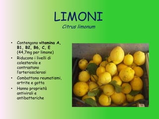 LIMONI
Citrus limonum
• Contengono vitamina A,
B1, B2, B6, C, E
(44,7mg per limone)
• Riducono i livelli di
colesterolo e
contrastano
l’arteriosclerosi
• Combattono reumatismi,
artrite e gotta
• Hanno proprietà
antivirali e
antibatteriche
 