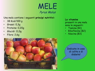 MELE
Pyrus Malus
Una mela contiene i seguenti principi nutritivi:
• 38 Kcal/100 g
• Grassi: 0,3g
• Proteine: 0,20g
• Glucidi: 11,0g
• Fibre: 2,6g
Le vitamine
presenti in una mela
sono le seguenti:
• Tiamina (B1)
• Riboflavina (B2)
• Niacina (B3)
Indicate in caso
di colite e di
diabete!
 
