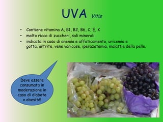 UVA Vitis
• Contiene vitamina A, B1, B2, B6, C, E, K
• molto ricca di zuccheri, sali minerali
• indicata in caso di anemia e affaticamento, uricemia e
gotta, artrite, vene varicose, iperazotemia, malattie della pelle.
Deve essere
consumata in
moderazione in
caso di diabete
o obesità!
 