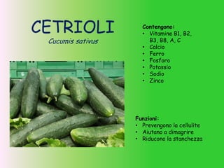 CETRIOLI
Cucumis sativus
Funzioni:
• Prevengono la cellulite
• Aiutano a dimagrire
• Riducono la stanchezza
Contengono:
• Vitamine B1, B2,
B3, B8, A, C
• Calcio
• Ferro
• Fosforo
• Potassio
• Sodio
• Zinco
 