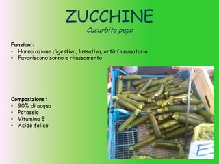 ZUCCHINE
Cucurbita pepo
Composizione:
• 90% di acqua
• Potassio
• Vitamina E
• Acido folico
Funzioni:
• Hanno azione digestiva, lassativa, antinfiammatoria
• Favoriscono sonno e rilassamento
 