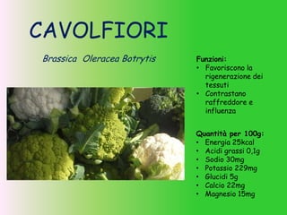 CAVOLFIORI
Brassica Oleracea Botrytis Funzioni:
• Favoriscono la
rigenerazione dei
tessuti
• Contrastano
raffreddore e
influenza
Quantità per 100g:
• Energia 25kcal
• Acidi grassi 0,1g
• Sodio 30mg
• Potassio 229mg
• Glucidi 5g
• Calcio 22mg
• Magnesio 15mg
 