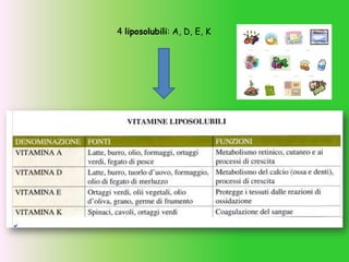 4 liposolubili: A, D, E, K
 