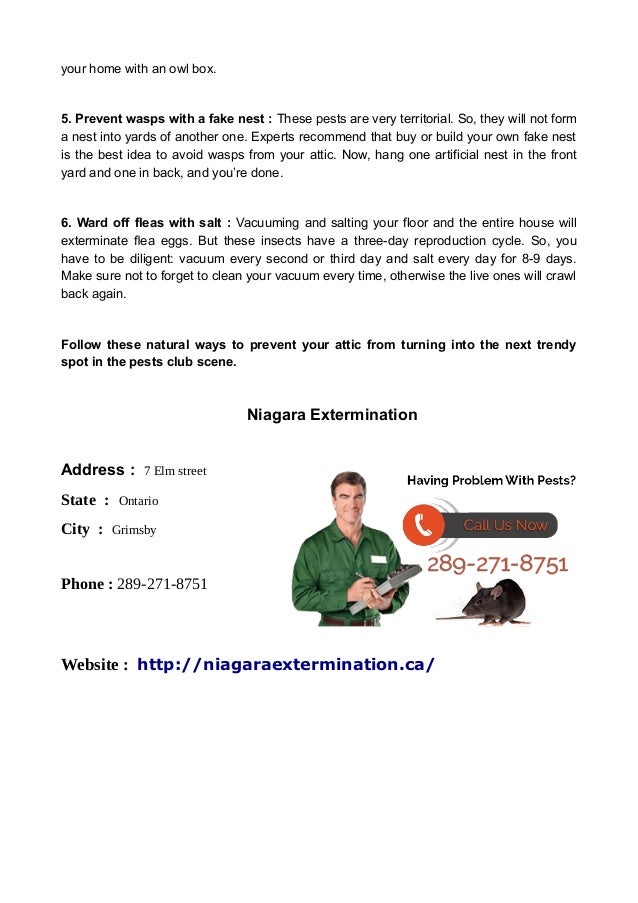 6 ways to exterminate pest from your home niagara extermination 3 638