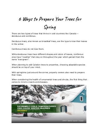 6 Ways to Prepare Your Trees for
Spring
There are two types of trees that thrive in cold countries like Canada —
deciduous and coniferous.
Deciduous trees, also known as broadleaf trees, are the type to lose their leaves
in the winter.
Coniferous trees do not lose them.
While deciduous trees have different shapes and colors of leaves, coniferous
ones have “needles” that stay on throughout the year which gained them the
name “evergreen”.
When planning to add Caledon trees to properties, choosing adaptable species
should be on top of your mind.
With springtime just around the corner, property owners also need to prepare
their trees.
When considering the health of ornamental trees and shrubs, the first thing that
comes to mind is insects and diseases.
 