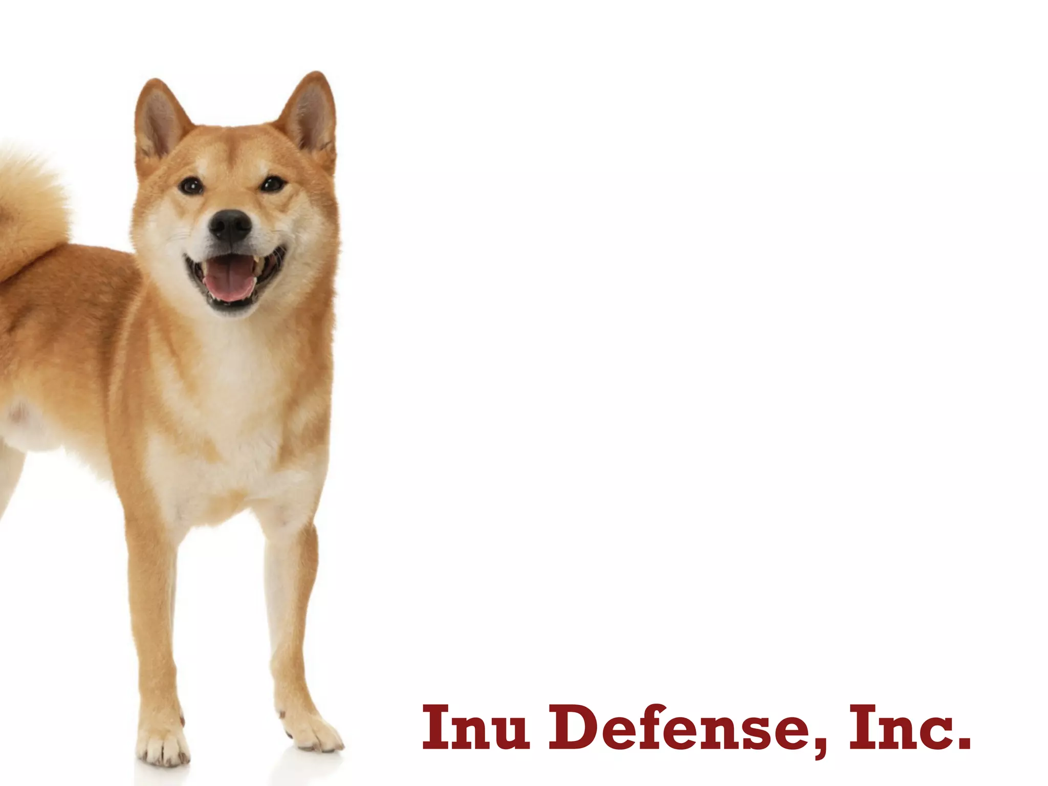 Inu Defense, Inc.
 