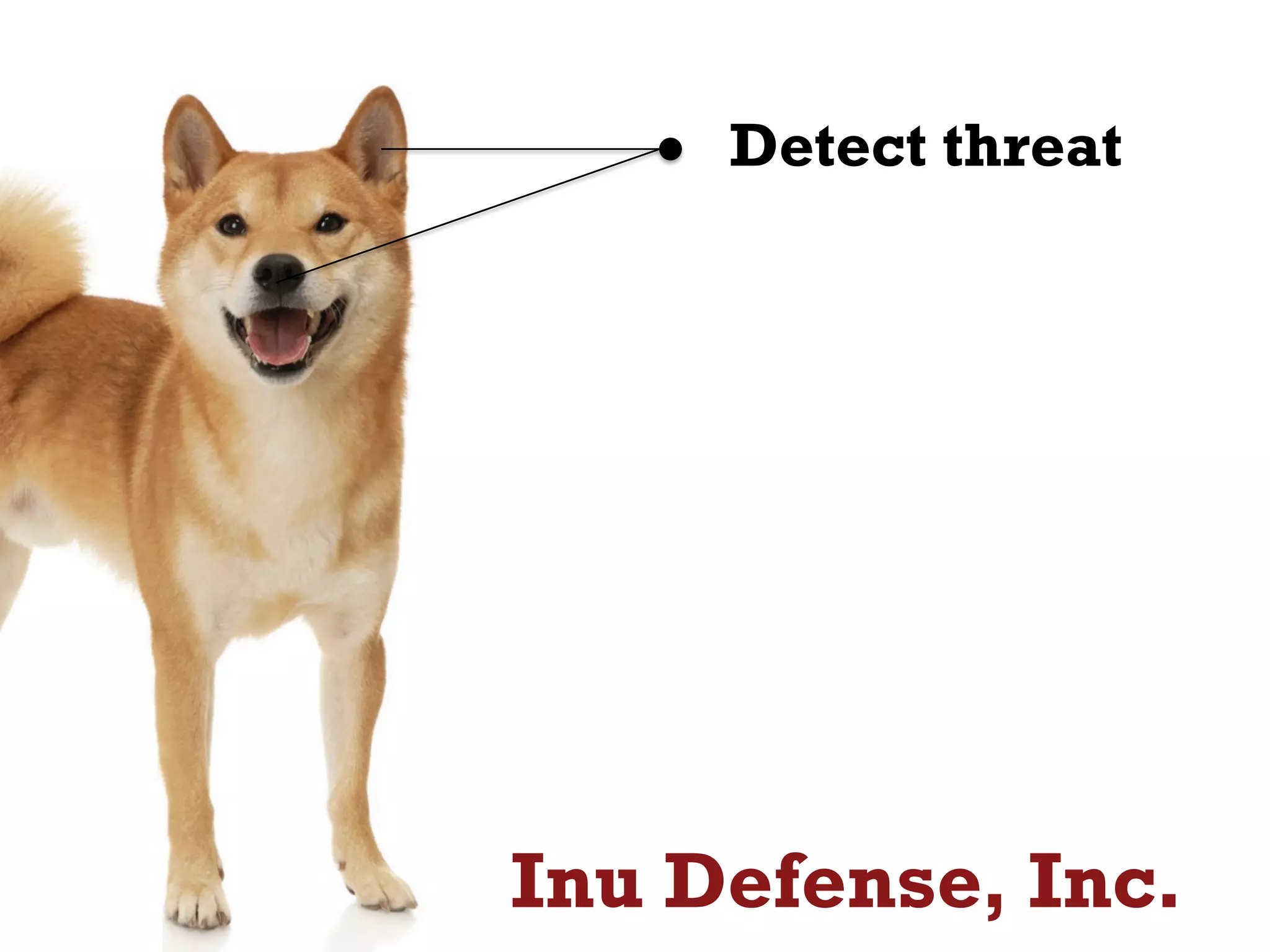 Detect threat
Inu Defense, Inc.
 