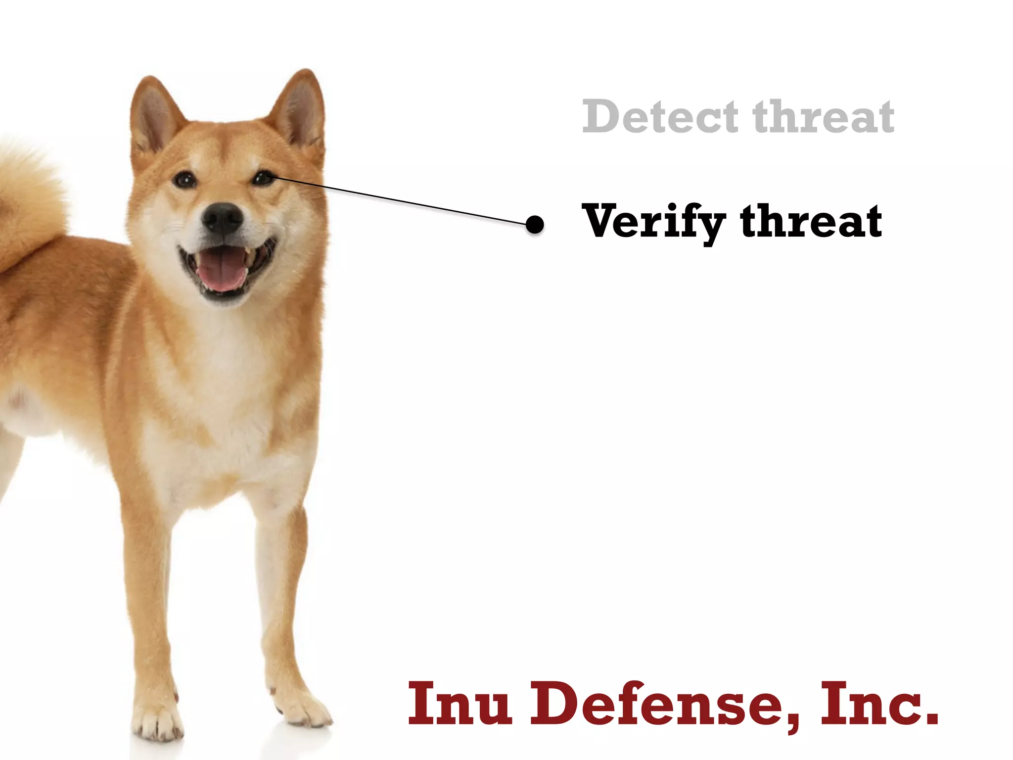Detect threat
Verify threat
Inu Defense, Inc.
 