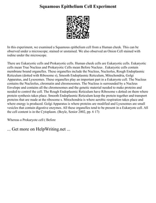 Squamous Epithelium Cell Experiment
In this experiment, we examined a Squamous epithelium cell from a Human cheek. This can be
observed under a microscope; stained or unstained. We also observed an Onion Cell stained with
iodine under the microscope.
There are Eukaryotic cells and Prokaryotic cells. Human cheek cells are Eukaryotic cells. Eukaryotic
cells mean True Nucleus and Prokaryotic Cells mean Before Nucleus . Eukaryotic cells contain
membrane bound organelles. These organelles include the Nucleus, Nucleolus, Rough Endoplasmic
Reticulum (dotted with Ribosome s), Smooth Endoplasmic Reticulum, Mitochondria, Golgi
Apparatus, and Lysosomes. These organelles play an important part in a Eukaryote cell. The Nucleus
contains the Nucleolus, chromatin and chromosomes. The Nucleus is surrounded by a Nucleus
Envelope and contains all the chromosomes and the genetic material needed to make proteins and
needed to control the cell. The Rough Endoplasmic Reticulum have Ribosome s dotted on them where
protein synthesis takes place. Smooth Endoplasmic Reticulum keep the protein together and transport
proteins that are made at the ribosome s. Mitochondria is where aerobic respiration takes place and
where energy is produced. Golgi Apparatus is where proteins are modified and Lysosomes are small
vesicles that contain digestive enzymes. All these organelles tend to be present in a Eukaryote cell. All
the cell content is in the Cytoplasm. (Boyle, Senior 2002, pp. 6 17)
Whereas a Prokaryote cell ( Before
... Get more on HelpWriting.net ...
 