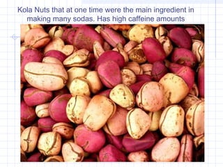 Kola Nuts that at one time were the main ingredient in
making many sodas. Has high caffeine amounts
 