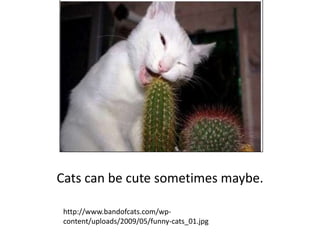 Cats can be cute sometimes maybe.http://www.bandofcats.com/wp-content/uploads/2009/05/funny-cats_01.jpg