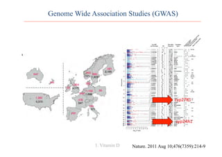 Genome Wide Association Studies (GWAS)
Nature. 2011 Aug 10;476(7359):214-9
cyp27B1	
  
cyp24A1	
  
1. Vitamin D
 