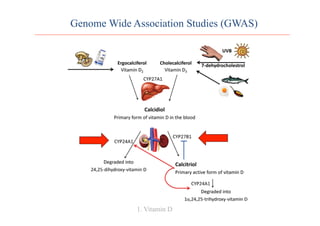 Genome Wide Association Studies (GWAS)
1. Vitamin D
 